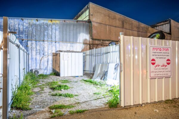 מונטנה בנוף הגליל