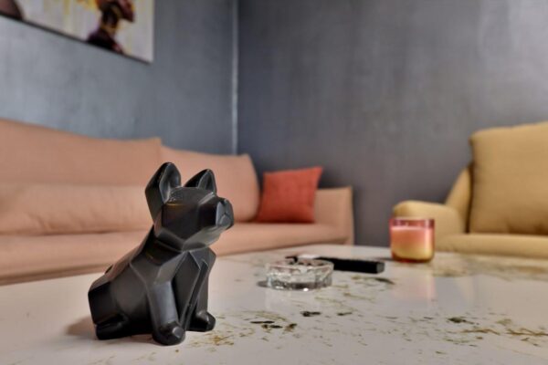 מוריה סוויט