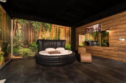 סוויט רום תלפיות