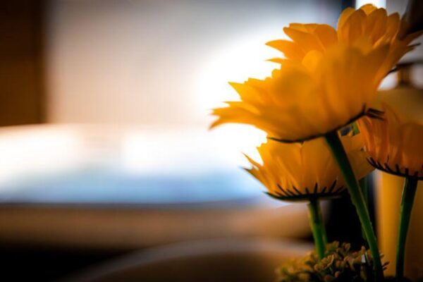 סוויט רום תלפיות