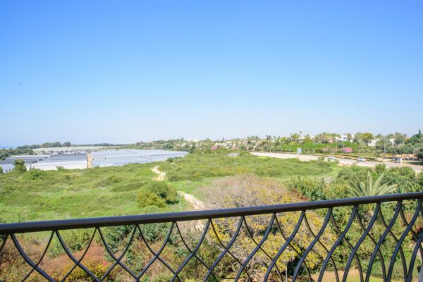 סוויטה באווירה אחרת