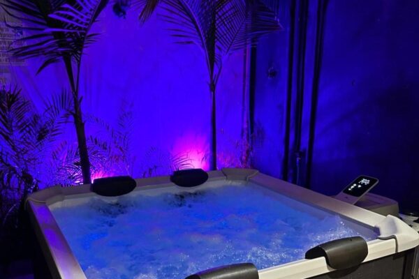 פלטינום סוויט ערד