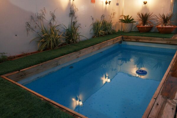 פלטינום סוויט ערד