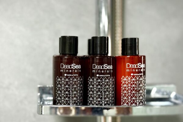 חווית רוגע באקליפטוס