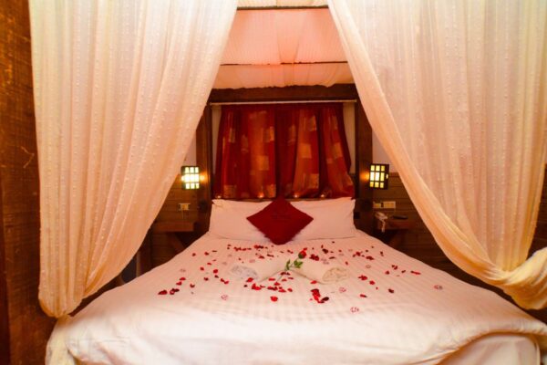 אירוח מושלם בלב נווה מבטח