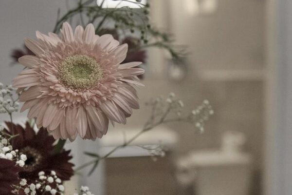 סוויטות מפוארות בארלוזורוב, רמת גן