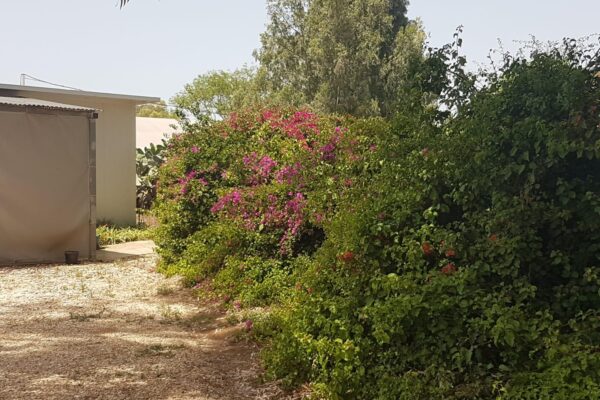 חוויית נופש מפנקת ביוגב