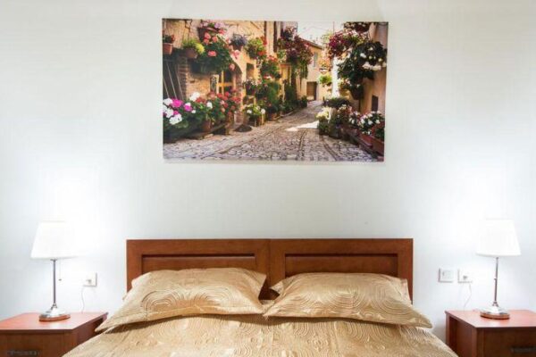 חוויה בלתי נשכחת באלמיסה