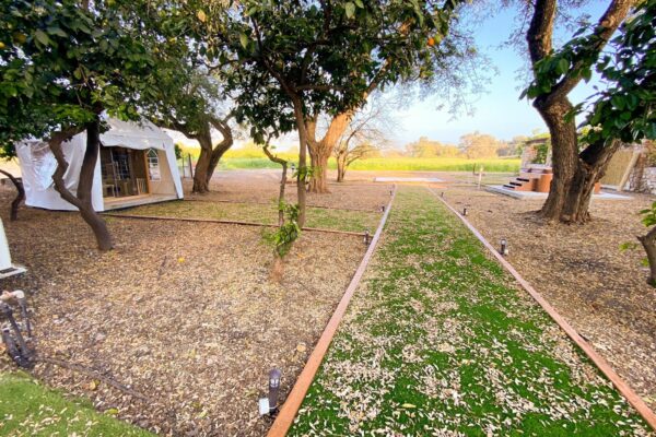 חוויה כפרית בגליל העליון עם זהבה